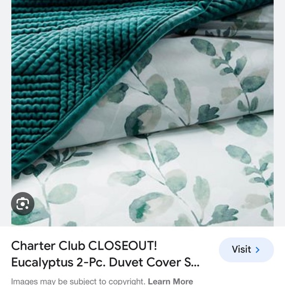 Charter Club Damask Designs
Eucalyptus Twin XL . - Picture 2 of 7